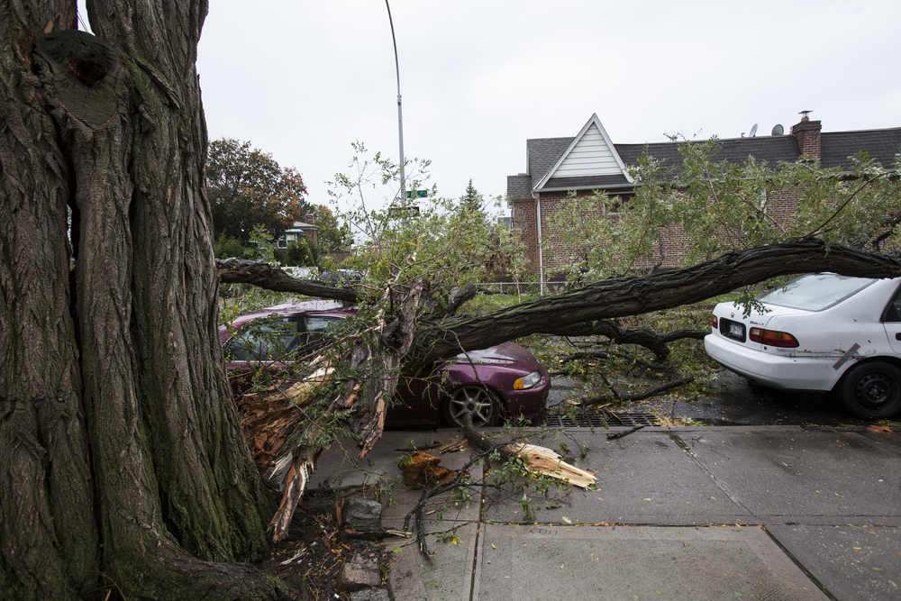 San Angelo- Car Crashes into Home on Beauregard Avenue | Attorney Tom